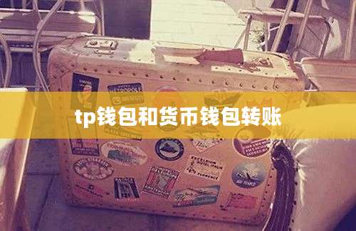 tp钱包和货币钱包转账