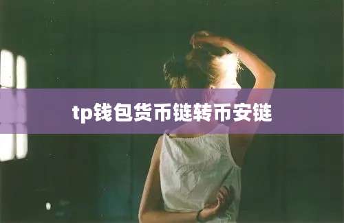tp钱包货币链转币安链