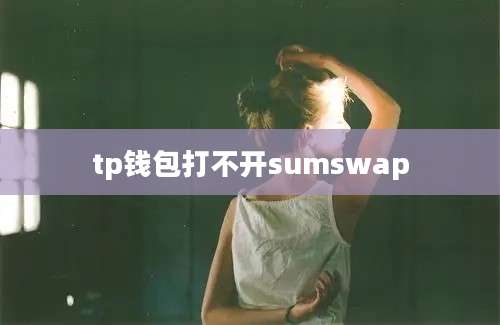 tp钱包打不开sumswap