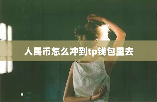 人民币怎么冲到tp钱包里去