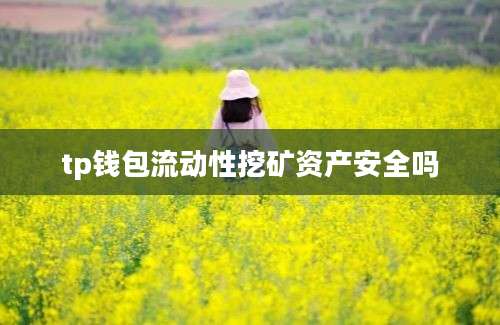 tp钱包流动性挖矿资产安全吗