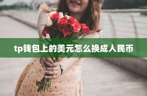 tp钱包上的美元怎么换成人民币
