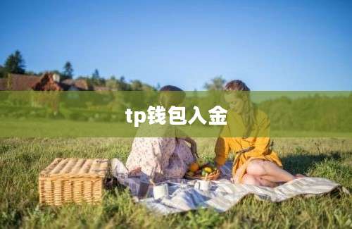 tp钱包入金