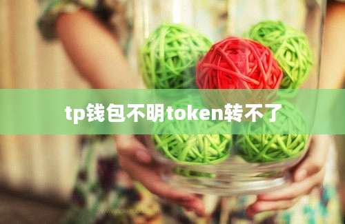 tp钱包不明token转不了