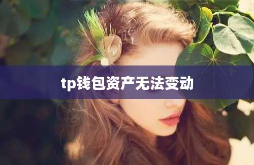 tp钱包资产无法变动