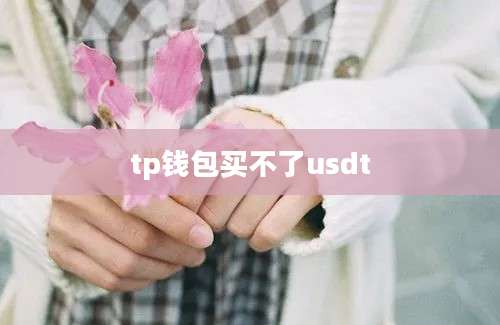 tp钱包买不了usdt