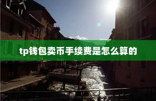 tp钱包卖币手续费是怎么算的