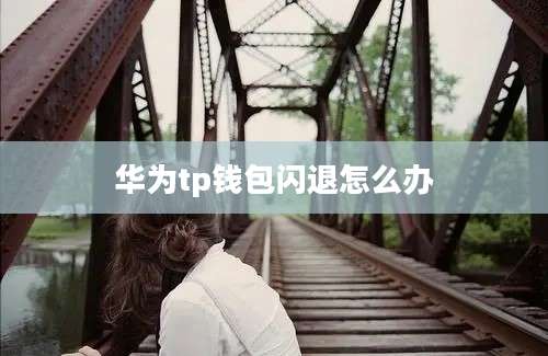 华为tp钱包闪退怎么办