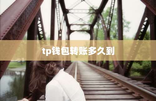 tp钱包转账多久到