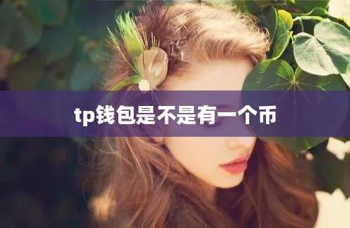 tp钱包是不是有一个币
