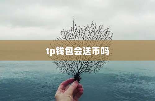 tp钱包会送币吗