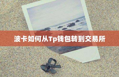 波卡如何从Tp钱包转到交易所