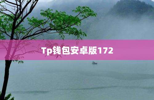 Tp钱包安卓版172