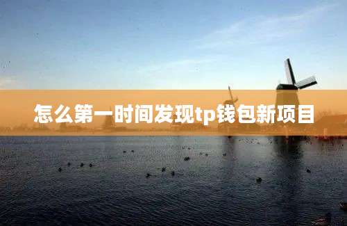 怎么第一时间发现tp钱包新项目