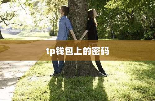 tp钱包上的密码