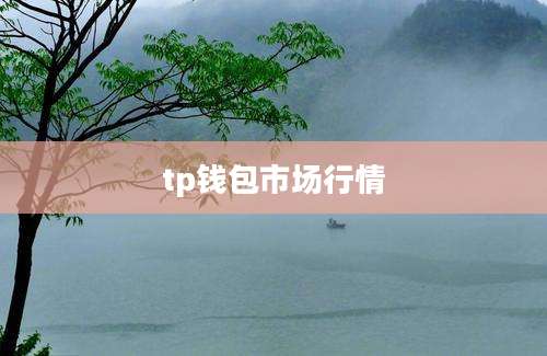 tp钱包市场行情