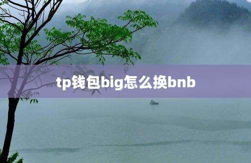 tp钱包big怎么换bnb