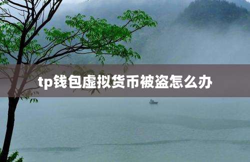 tp钱包虚拟货币被盗怎么办