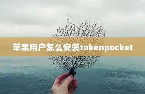 苹果用户怎么安装tokenpocket