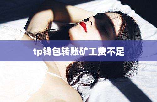 tp钱包转账矿工费不足