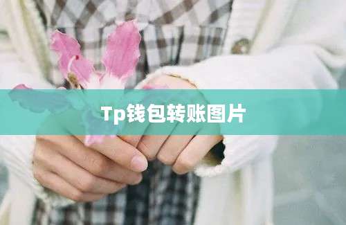 Tp钱包转账图片