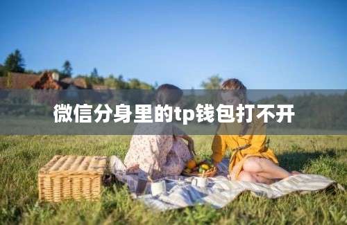 微信分身里的tp钱包打不开