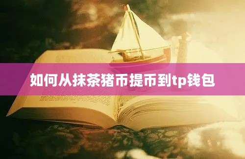 如何从抹茶猪币提币到tp钱包