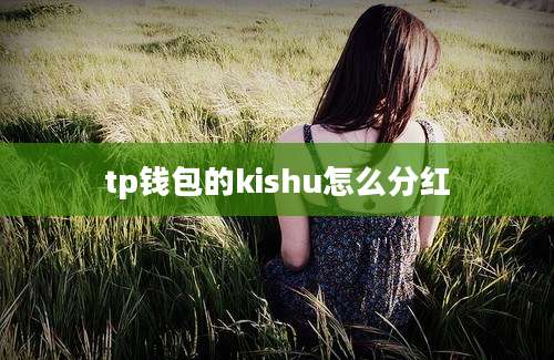 tp钱包的kishu怎么分红