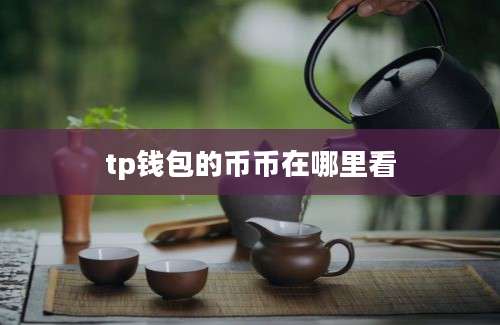 tp钱包的币币在哪里看