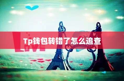Tp钱包转错了怎么追查