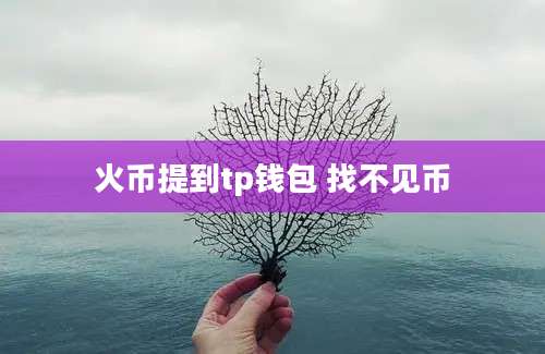 火币提到tp钱包 找不见币