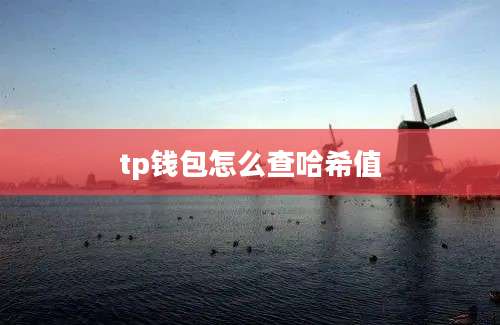 tp钱包怎么查哈希值