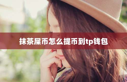 抹茶屎币怎么提币到tp钱包