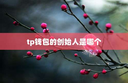 tp钱包的创始人是哪个