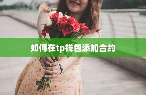如何在tp钱包添加合约