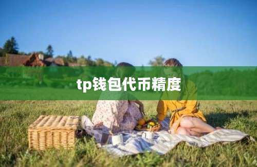 tp钱包代币精度