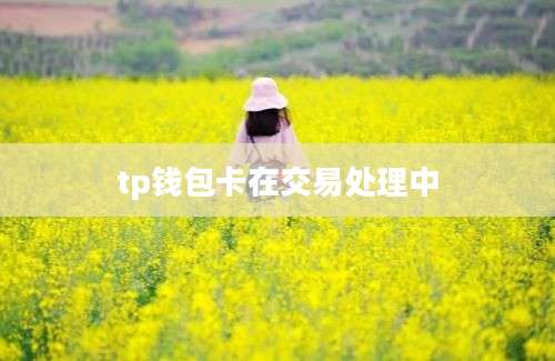 tp钱包卡在交易处理中