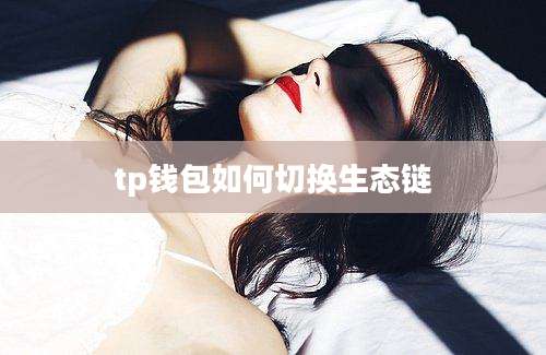 tp钱包如何切换生态链
