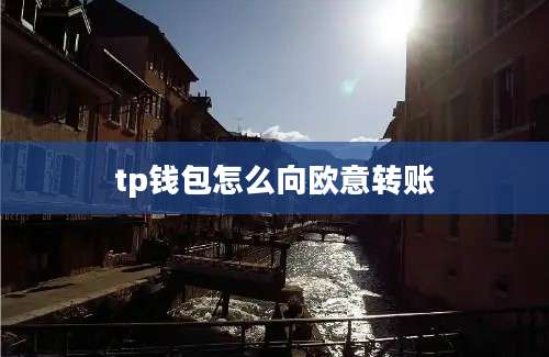 tp钱包怎么向欧意转账