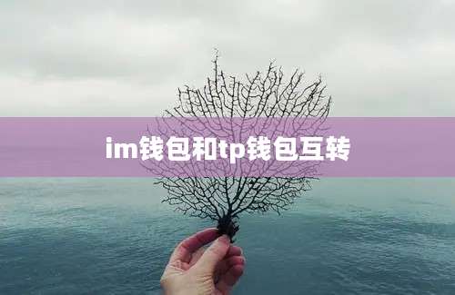 im钱包和tp钱包互转