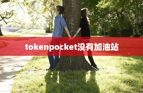 tokenpocket没有加油站