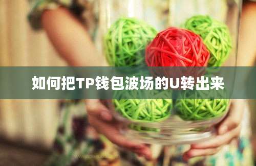 如何把TP钱包波场的U转出来