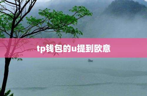 tp钱包的u提到欧意