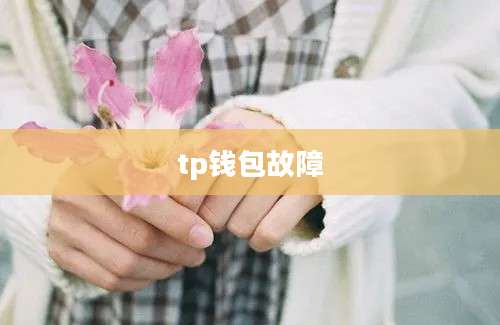 tp钱包故障