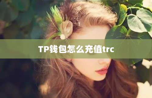 TP钱包怎么充值trc