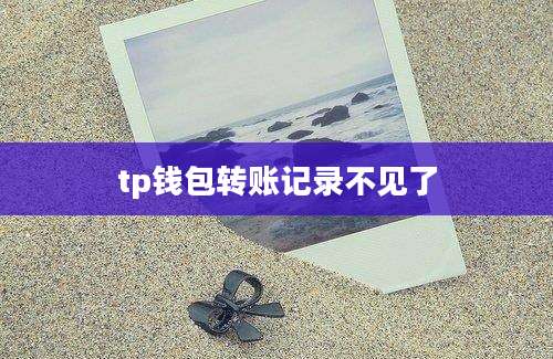 tp钱包转账记录不见了