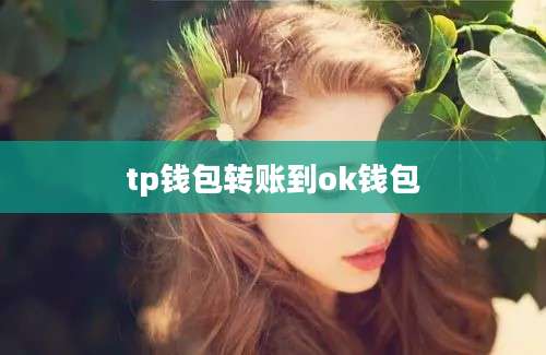 tp钱包转账到ok钱包