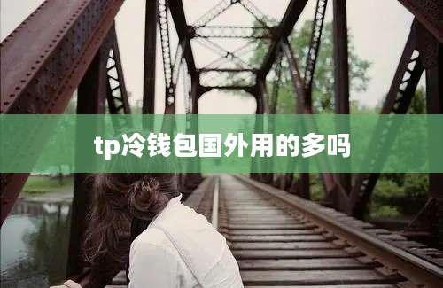 tp冷钱包国外用的多吗