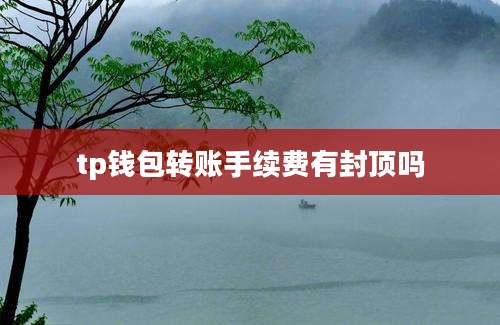 tp钱包转账手续费有封顶吗