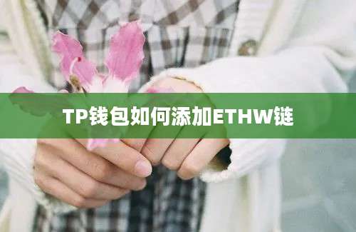 TP钱包如何添加ETHW链